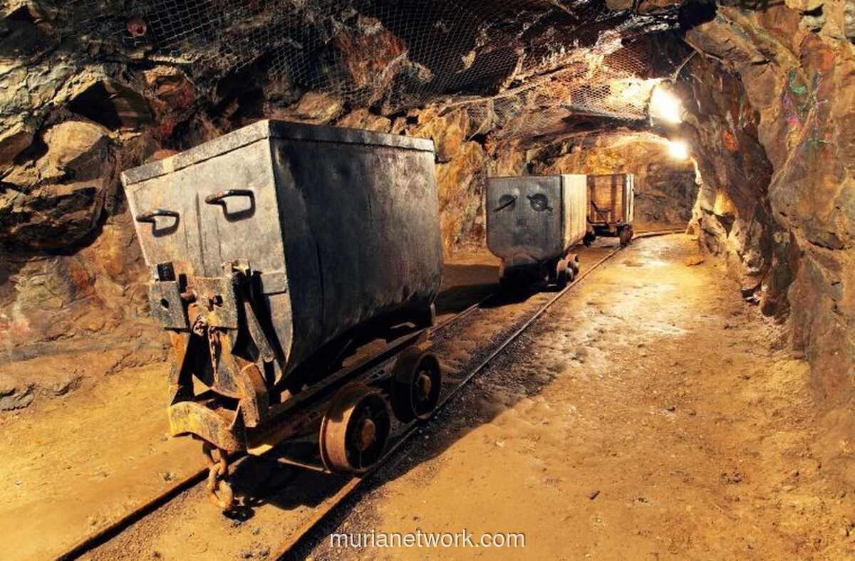 Merdeka Copper Gold Bagi Dividen Perdana Rp300 Miliar meski Masih Rugi