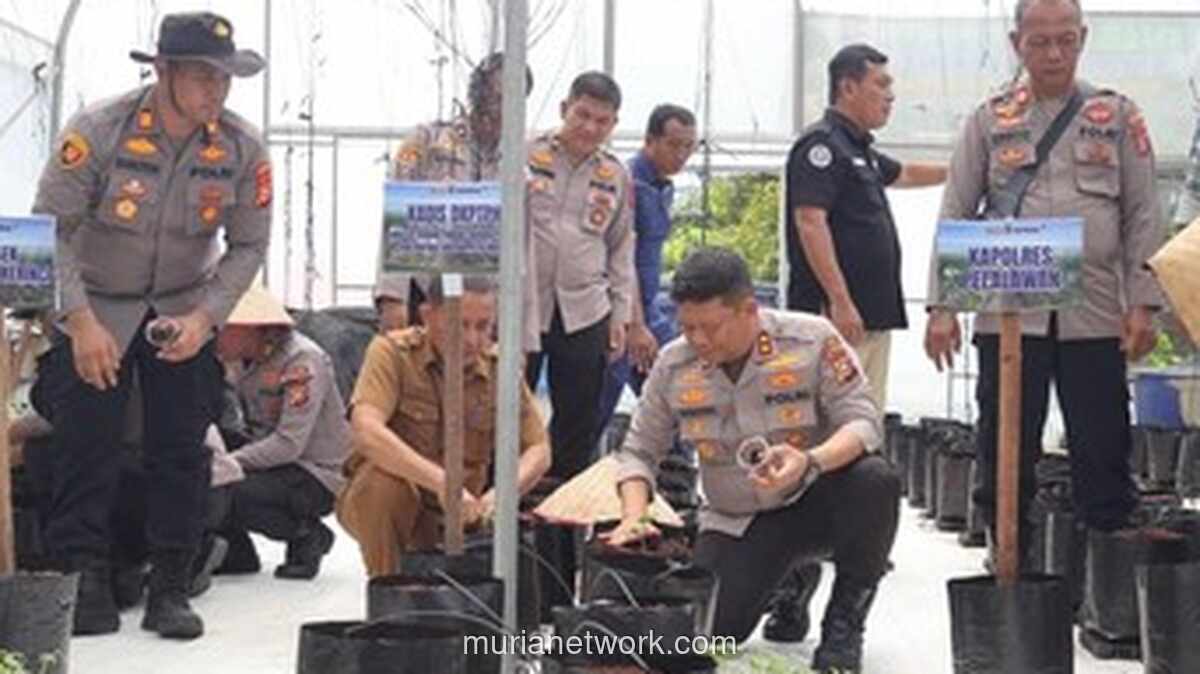 Polsek Pangkalan Kerinci Luncurkan Greenhouse Smart Farming untuk Dukung Ketahanan Pangan