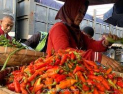 Bapanas Siapkan Sistem Deteksi Dini untuk Jaga Stabilitas Harga Cabai dan Bawang