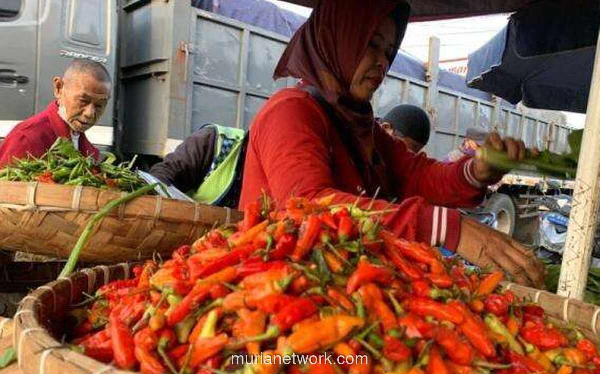 Bapanas Siapkan Sistem Deteksi Dini untuk Jaga Stabilitas Harga Cabai dan Bawang
