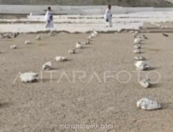 Jemaah Haji Aceh yang Wafat di Tanah Suci Bertambah Jadi 10 Orang, Sebelas Lainnya Masih Dirawat