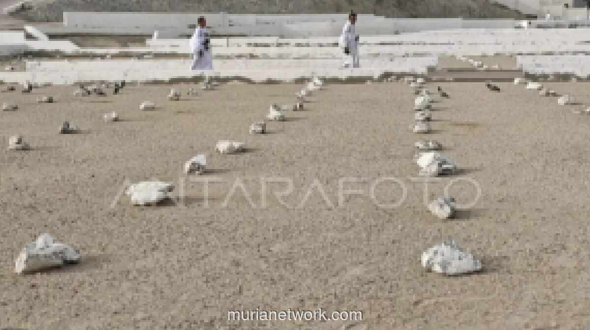Jemaah Haji Aceh yang Wafat di Tanah Suci Bertambah Jadi 10 Orang, Sebelas Lainnya Masih Dirawat