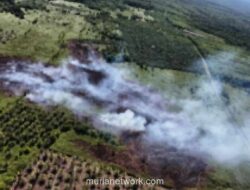 Kebakaran Hutan dan Lahan di Aceh Barat Meluas Jadi 34,1 Hektare, Bubon Terparah