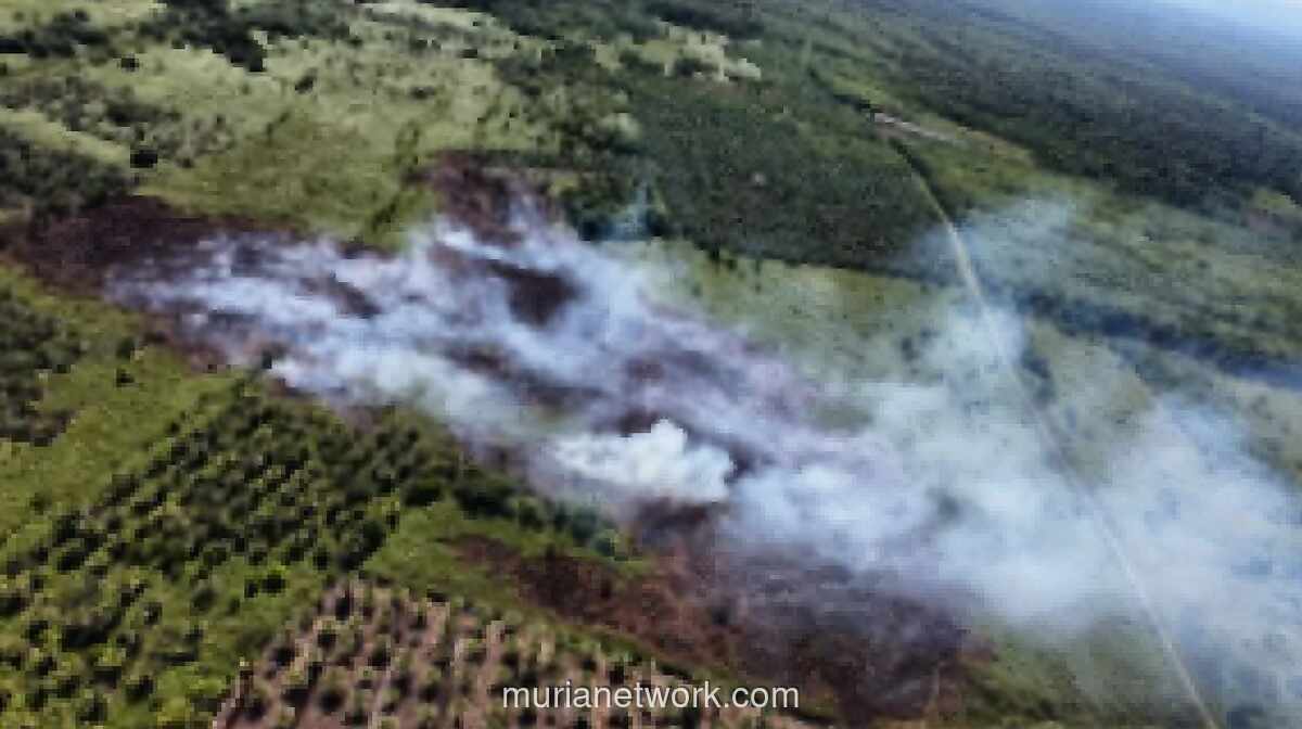 Kebakaran Hutan dan Lahan di Aceh Barat Meluas Jadi 34,1 Hektare, Bubon Terparah