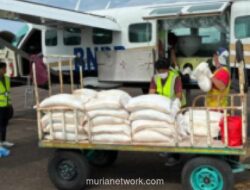 BNPB Lakukan Modifikasi Cuaca untuk Padamkan Karhutla di Aceh Barat