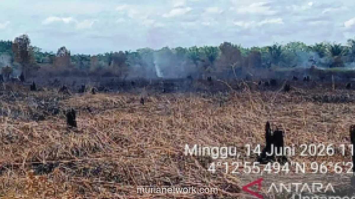 Kebakaran Hutan dan Lahan di Aceh Barat Capai 34 Hektare, Lima Kecamatan Terdampak