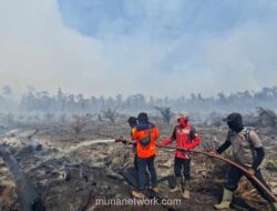 Kebakaran Hutan dan Lahan Landa Aceh dan Riau, Lebih dari 15 Ribu Hektare Hangus