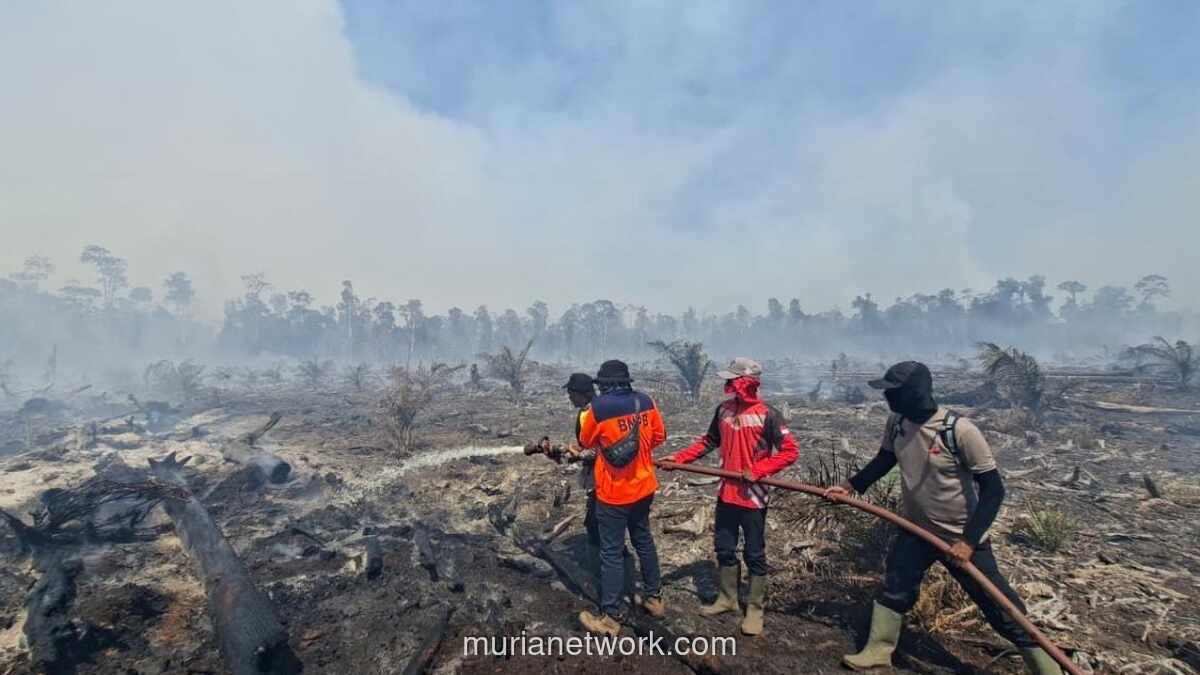 Kebakaran Hutan dan Lahan Landa Aceh dan Riau, Lebih dari 15 Ribu Hektare Hangus