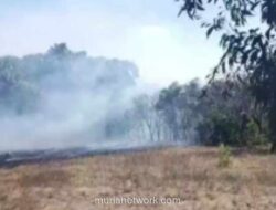 Kebakaran Lahan 20 Hektar di Sabu Raijua Dipicu Sisa Bakar Sampah, Api Berhasil Dipadamkan