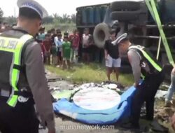 Kecelakaan Beruntun di Jalinsum Lampung Selatan Tewaskan Dua Sopir Truk, Diduga karena Rem Blong
