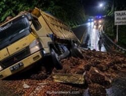 Truk Muatan Kelapa Sawit Alami Kecelakaan di Tanjakan Peles Bengkulu Utara, Lalu Lintas Sempat Terganggu