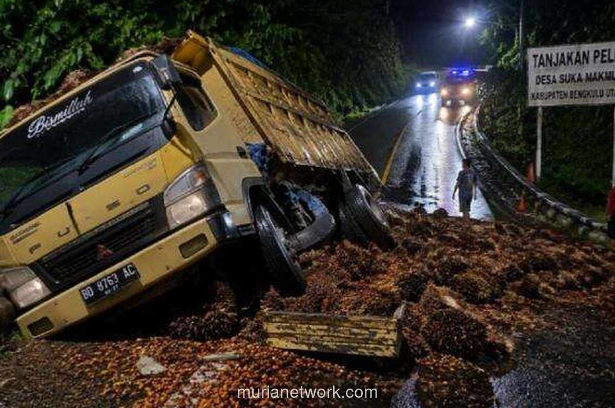 Truk Muatan Kelapa Sawit Alami Kecelakaan di Tanjakan Peles Bengkulu Utara, Lalu Lintas Sempat Terganggu