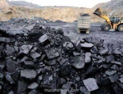 Sekjen ESDM Pastikan Stok Batu Bara Aman, Pasokan Listrik Terjamin
