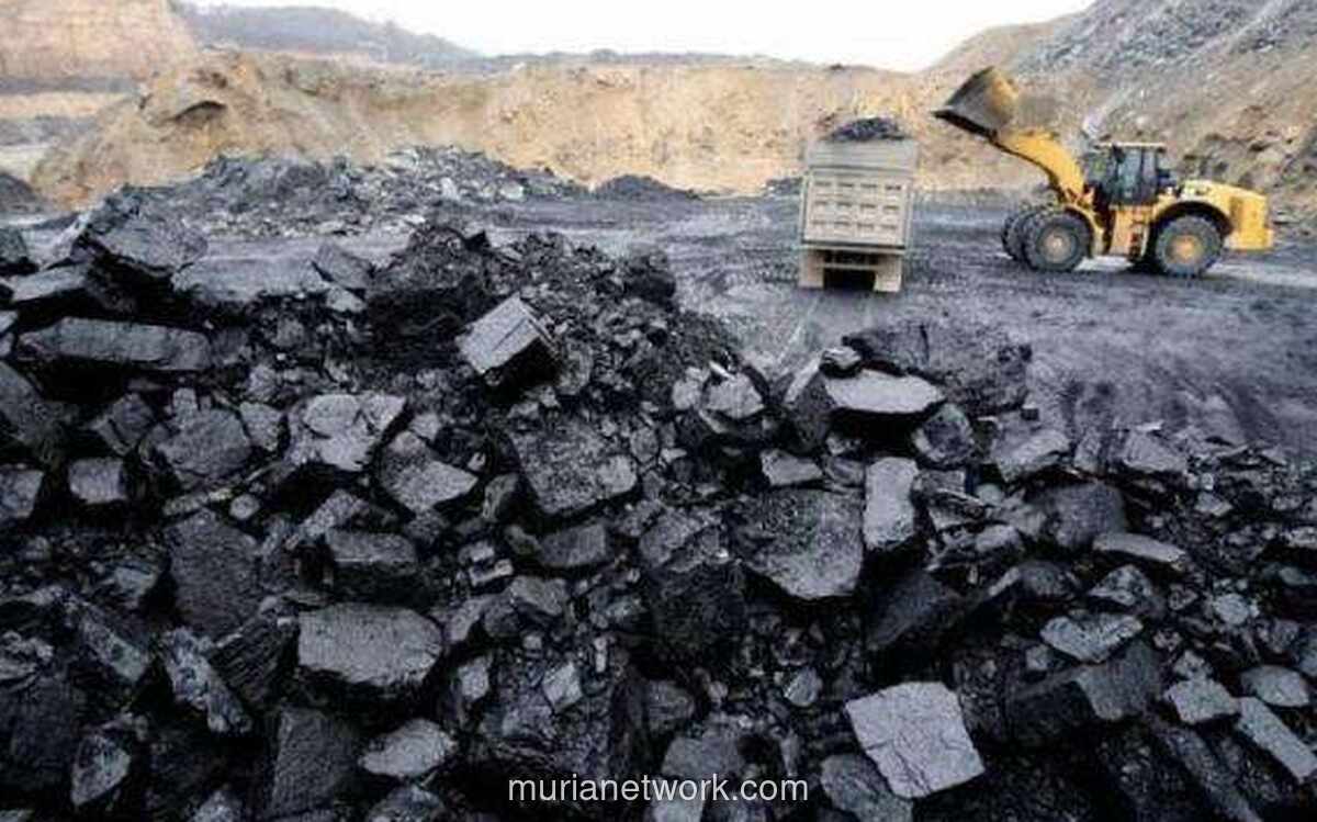 Sekjen ESDM Pastikan Stok Batu Bara Aman, Pasokan Listrik Terjamin