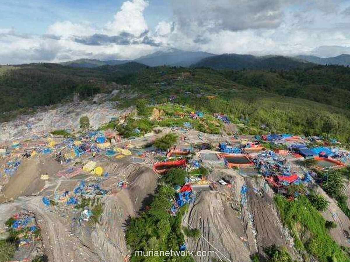 ESDM Tetapkan 26 Tersangka Tambang Ilegal Gunung Botak, 24 di Antaranya WNA