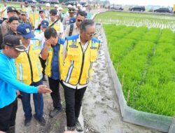 Kementerian PU Siapkan Sumur Dalam dan Perkuat Irigasi Antisipasi El Nino 2026-2027