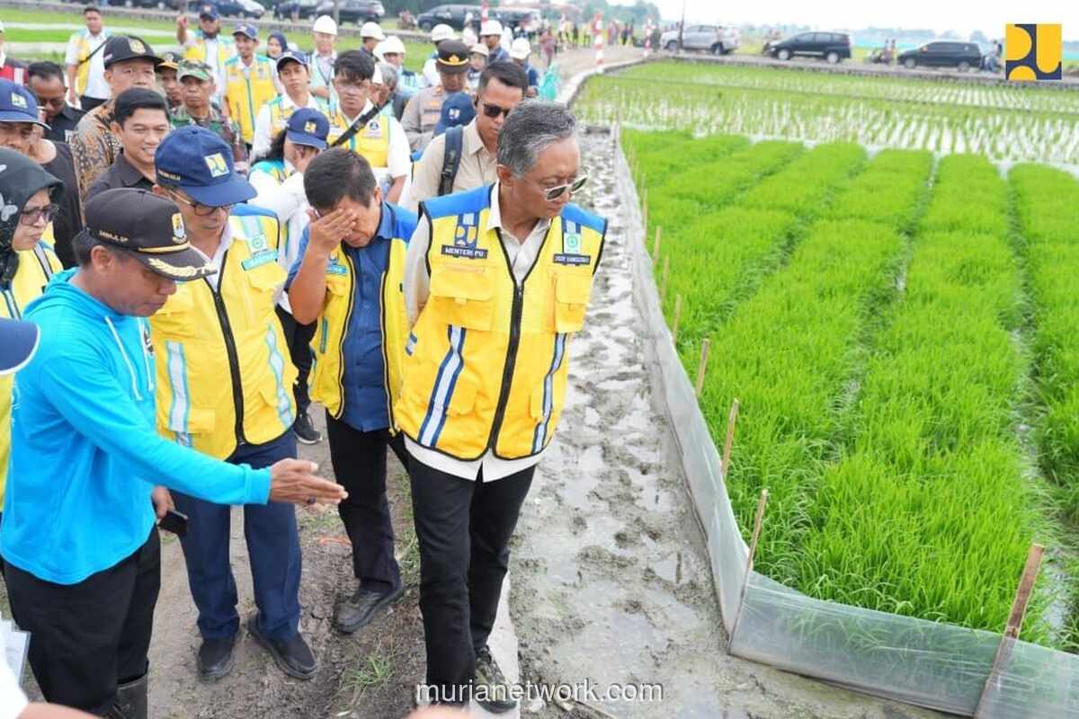 Kementerian PU Siapkan Sumur Dalam dan Perkuat Irigasi Antisipasi El Nino 2026-2027