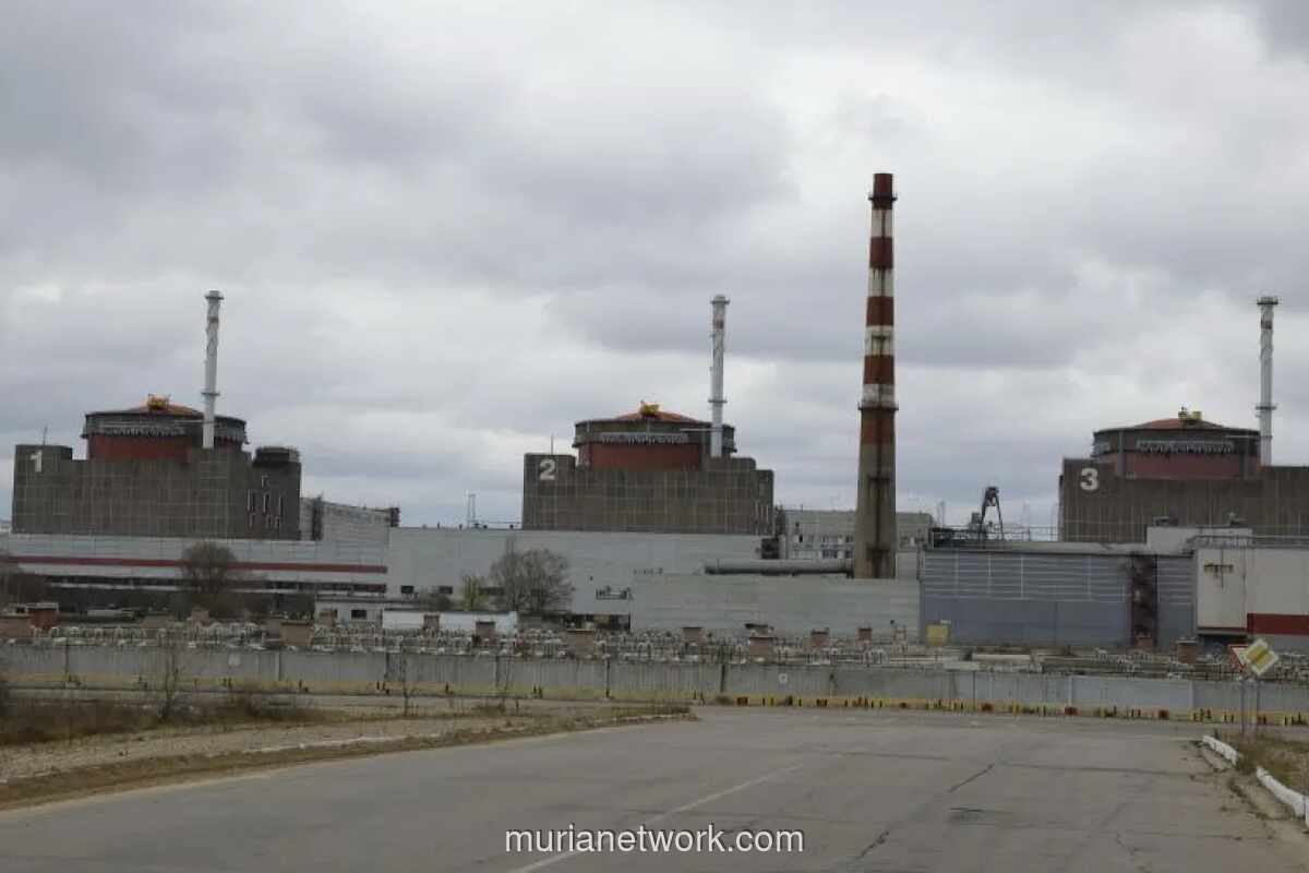 IAEA Peringatkan Bahaya Serangan Drone di PLTN Zaporizhzhia, Sebut Insiden Pertama Sejak April 2024
