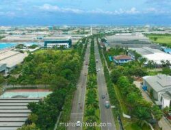 Jababeka Bagikan Dividen Rp42,31 Miliar, Setara Rp2 per Saham