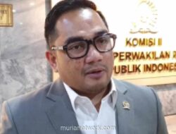 Komisi II DPR Dorong E-Voting untuk Pemilu di Luar Negeri Demi Atasi Kerentanan Kecurangan