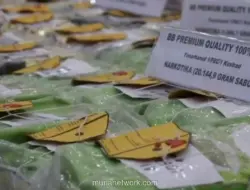 Pemerintah: 59 Jaringan Narkotika Dibongkar, Barang Bukti Capai 200 Ton Lebih