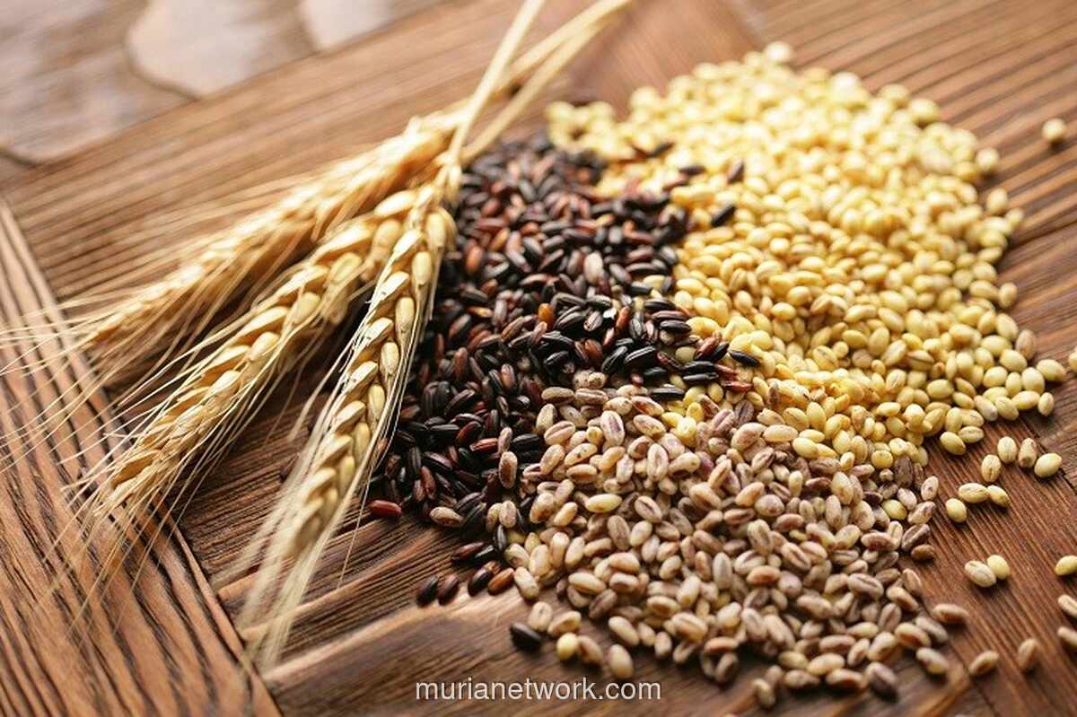 Produksi Gandum Australia Diprediksi Anjlok 26 Persen Akibat Lonjakan Harga Pupuk Imbas Konflik Timur Tengah