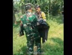 Bocah Tewas Diterkam Anjing Pemburu Babi Hutan di Jasinga, Polisi Buru Pemilik Hewan