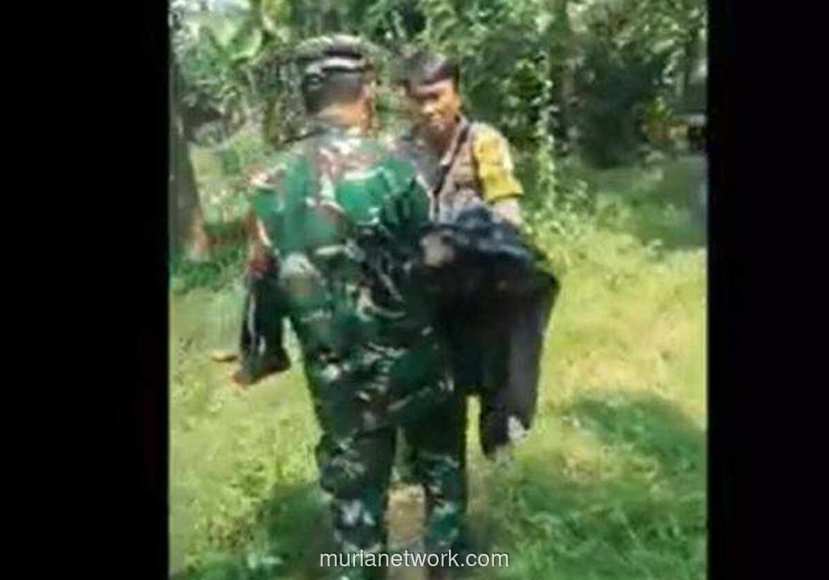 Bocah Tewas Diterkam Anjing Pemburu Babi Hutan di Jasinga, Polisi Buru Pemilik Hewan