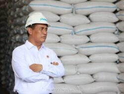 Indonesia Produsen Beras Terbesar ke-4 Dunia, Stok Nasional Tembus 5,2 Juta Ton
