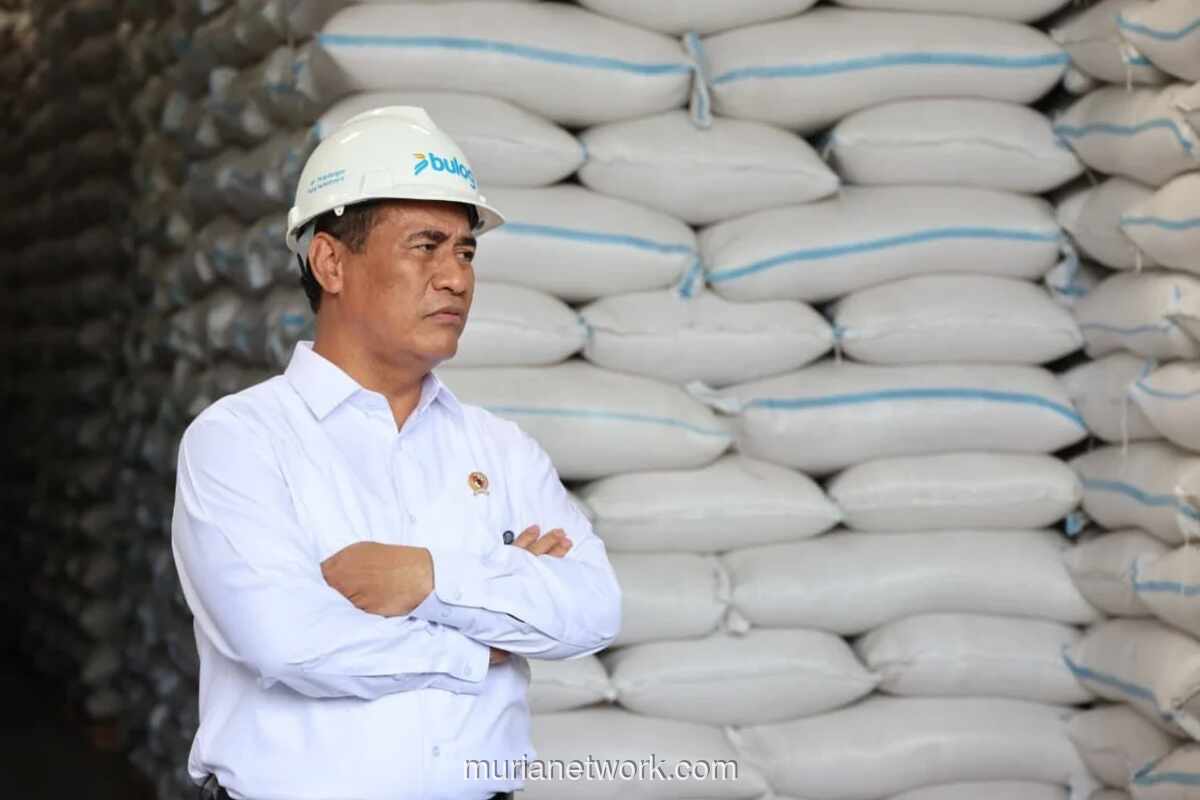 Indonesia Produsen Beras Terbesar ke-4 Dunia, Stok Nasional Tembus 5,2 Juta Ton