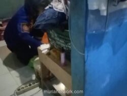 Kobra Jawa Masuk Kamar Rumah Warga Bogor, Damkar Evakuasi dalam 15 Menit
