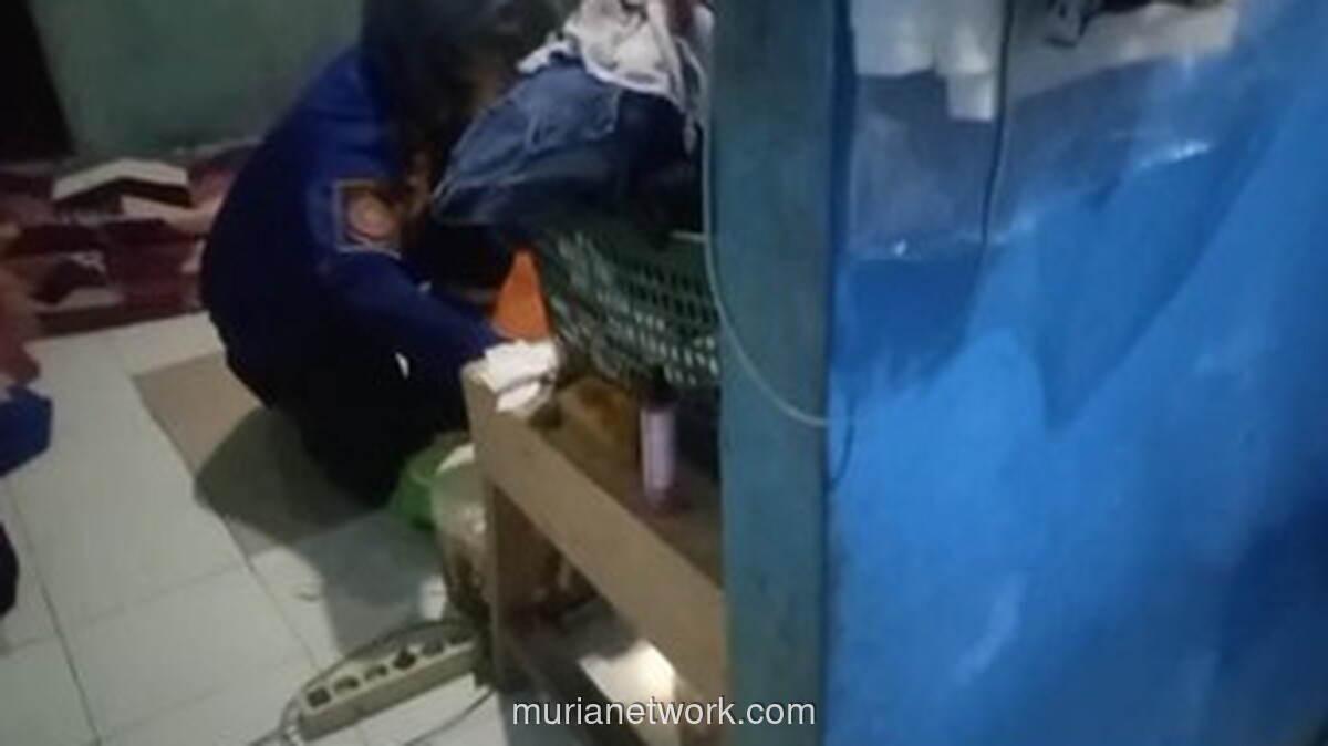 Kobra Jawa Masuk Kamar Rumah Warga Bogor, Damkar Evakuasi dalam 15 Menit