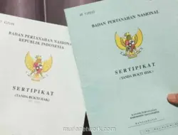 Pisahkan Sertifikat Tanah Tanpa Hapus Induk, Ini Syarat dan Prosedurnya