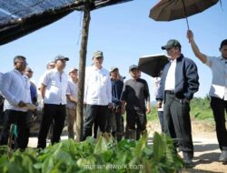 Menteri Pertanian Puji Kualitas Bibit Kelapa dan Kakao di Konawe Selatan, Targetkan 3 Juta Lapangan Kerja Baru