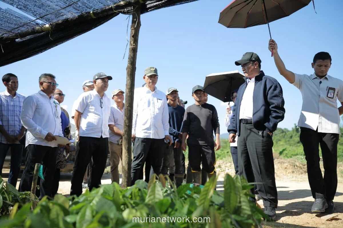 Menteri Pertanian Puji Kualitas Bibit Kelapa dan Kakao di Konawe Selatan, Targetkan 3 Juta Lapangan Kerja Baru