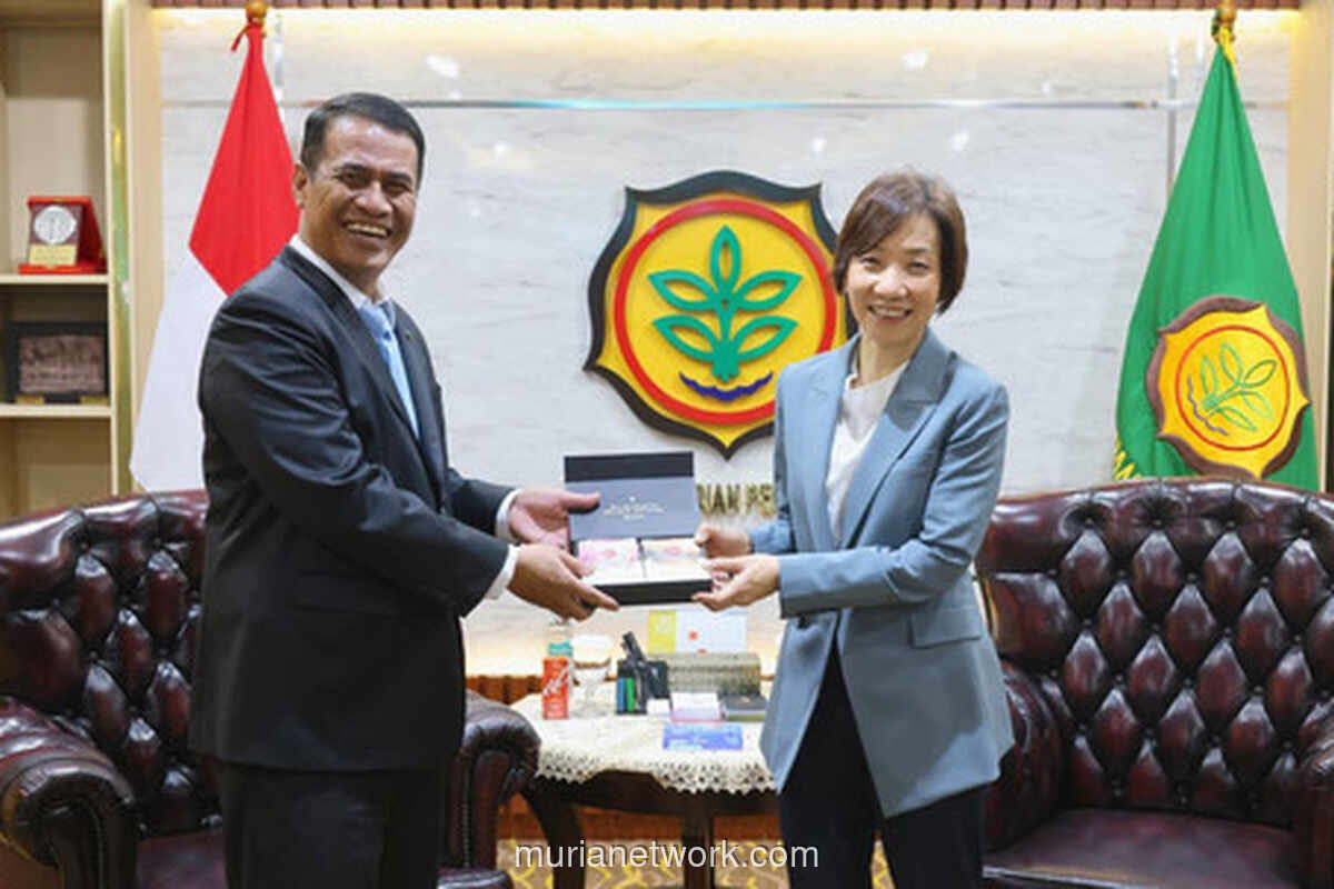 Indonesia Tawarkan Ekspor 10 Ribu Ton Beras ke Singapura, Jajaki Kerja Sama Pangan Lain