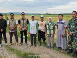 Perum BULOG Catat Rekor Serapan Gabah dan Beras Tembus 3 Juta Ton Hingga Awal Juni 2026
