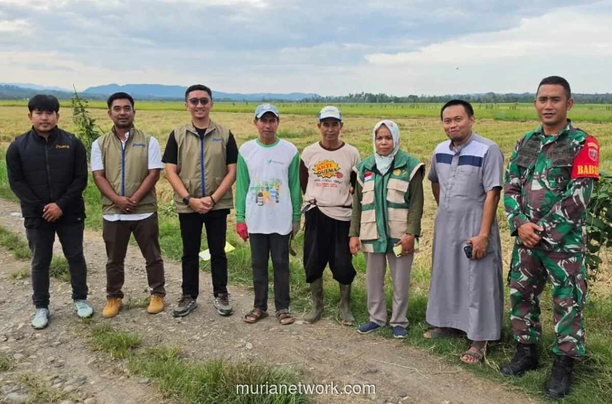 Perum BULOG Catat Rekor Serapan Gabah dan Beras Tembus 3 Juta Ton Hingga Awal Juni 2026