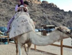 Jabal Uhud: Wisata Sejarah, Alam, dan Budaya Lengkapi Perjalanan Spiritual Jemaah Haji Indonesia