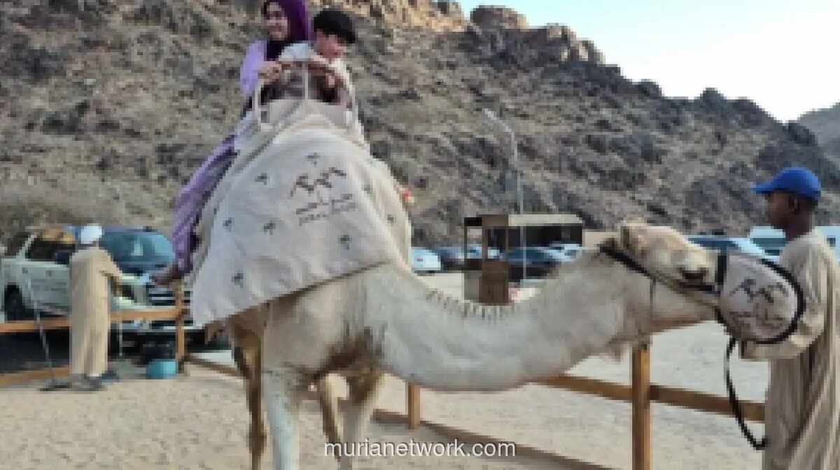 Jabal Uhud: Wisata Sejarah, Alam, dan Budaya Lengkapi Perjalanan Spiritual Jemaah Haji Indonesia