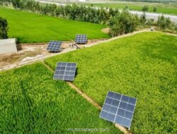 Mulai Rp20 Ribuan, Ini 5 Rekomendasi Mini Solar Panel untuk Pemula