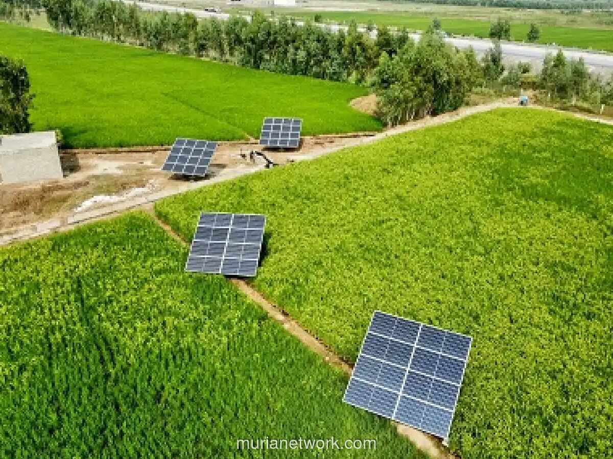Mulai Rp20 Ribuan, Ini 5 Rekomendasi Mini Solar Panel untuk Pemula