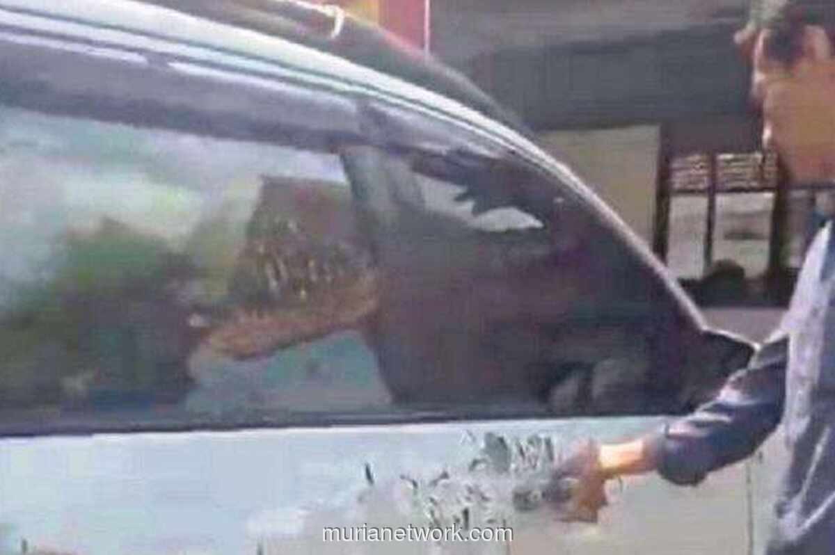 Mobil Pengacara Dirusak saat Dampingi Sidang Cerai di Grobogan, Diduga Disiram Cairan Kimia