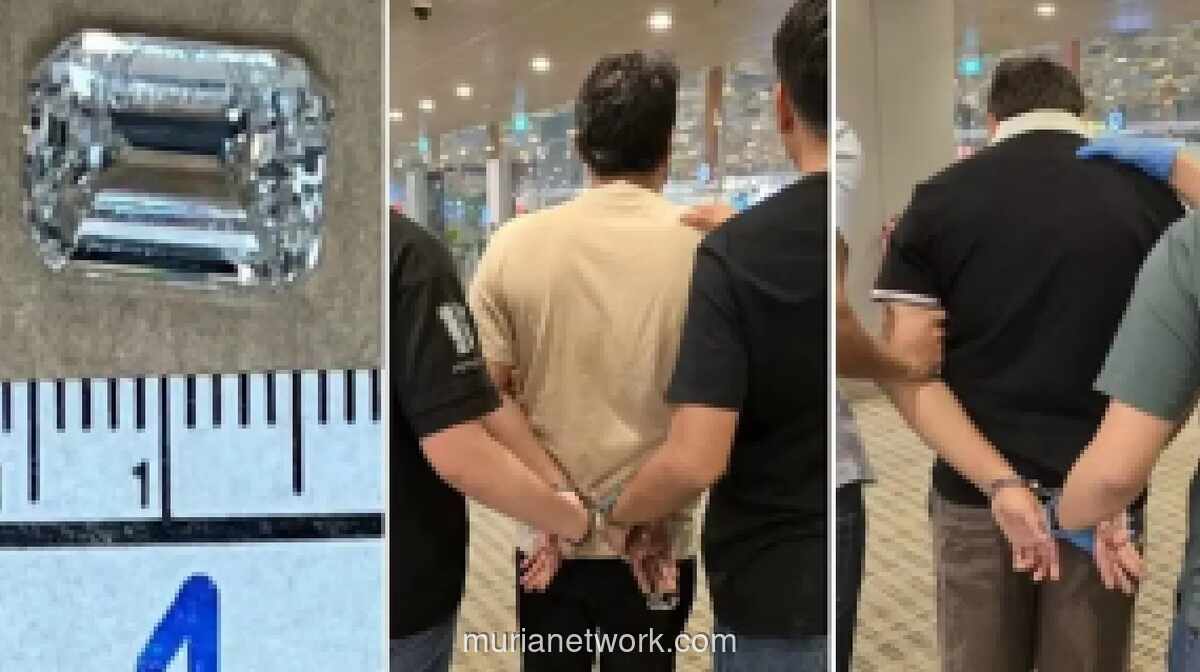 Dua Pria Ditangkap di Bandara Changi Usai Curi Berlian Rp3,2 Miliar dengan Modus Tukar Palsu