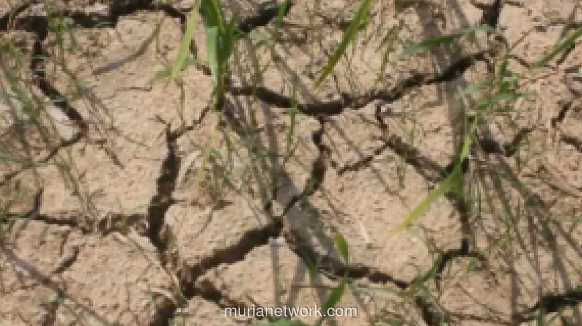 DPR Dorong Pembangunan Infrastruktur Ketahanan Air Nasional Antisipasi Kekeringan Panjang