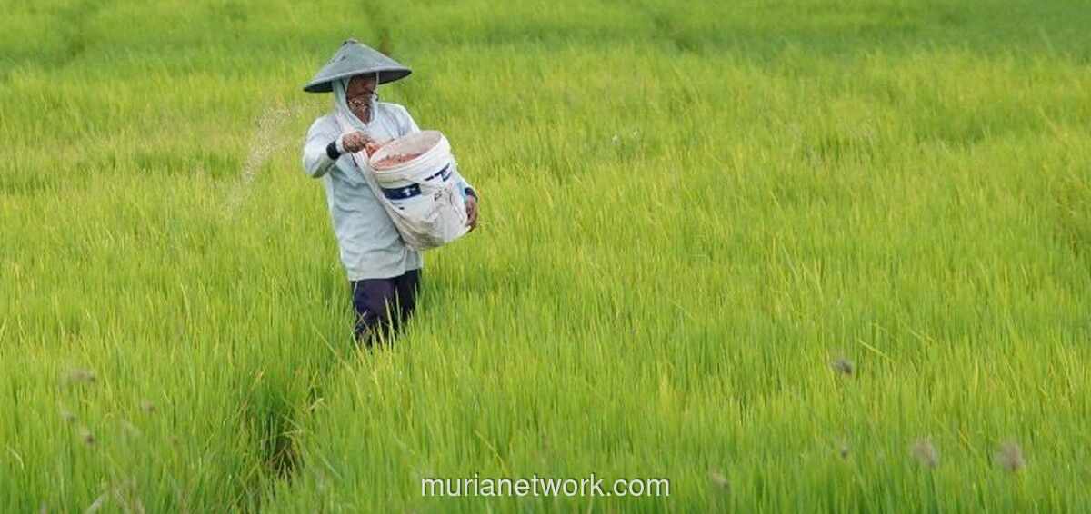 Nilai Tukar Petani Nasional Naik 1,99 Persen pada Mei 2026, Hortikultura Catat Lonjakan Tertinggi