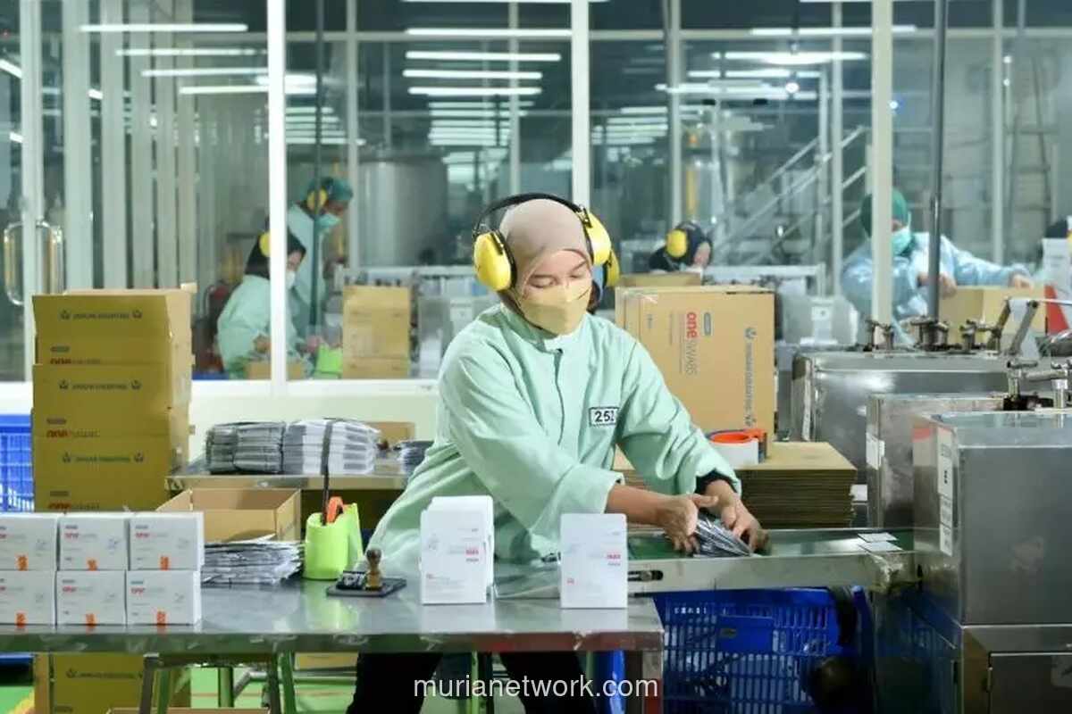 OMED Bagikan Dividen Rp110,4 Miliar, Setiap Pemegang Saham Terima Rp4,08 Per Lembar