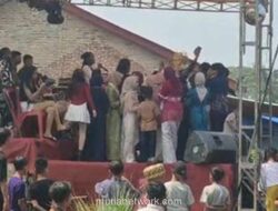 Sarang Tawon Vespa di Dekat Pesta Pernikahan di Lampung Selatan Dievakuasi, Getaran Musik Diduga Picu Serangan