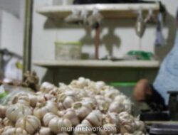 Kementan Targetkan Swasembada Bawang Putih Tercapai dalam 3-4 Tahun