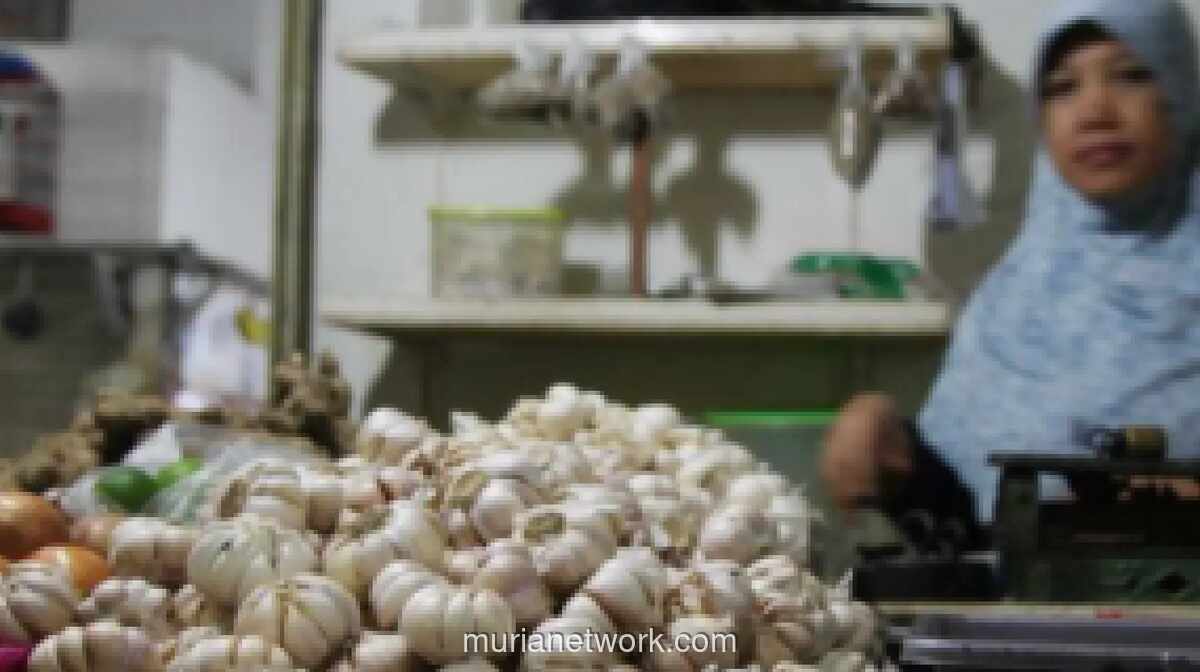Kementan Targetkan Swasembada Bawang Putih Tercapai dalam 3-4 Tahun